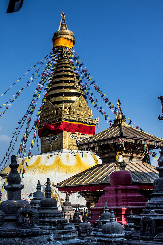 355583087_2203494063176734_7527508812037634959_n